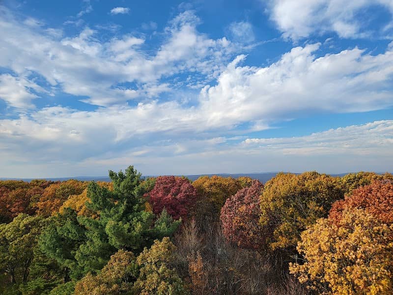 Taum Sauk Lookout Tower - Image 2