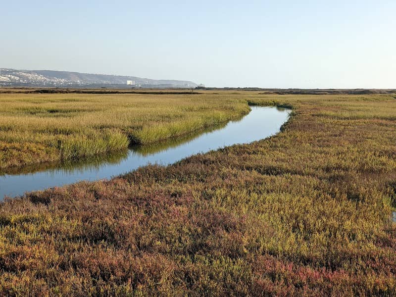 Tijuana Slough National Wildlife Refuge - Image 1