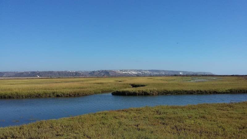 Tijuana Slough National Wildlife Refuge - Image 3