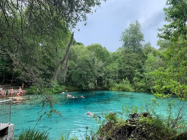 Ichetucknee State Park North Entrance - Image 2
