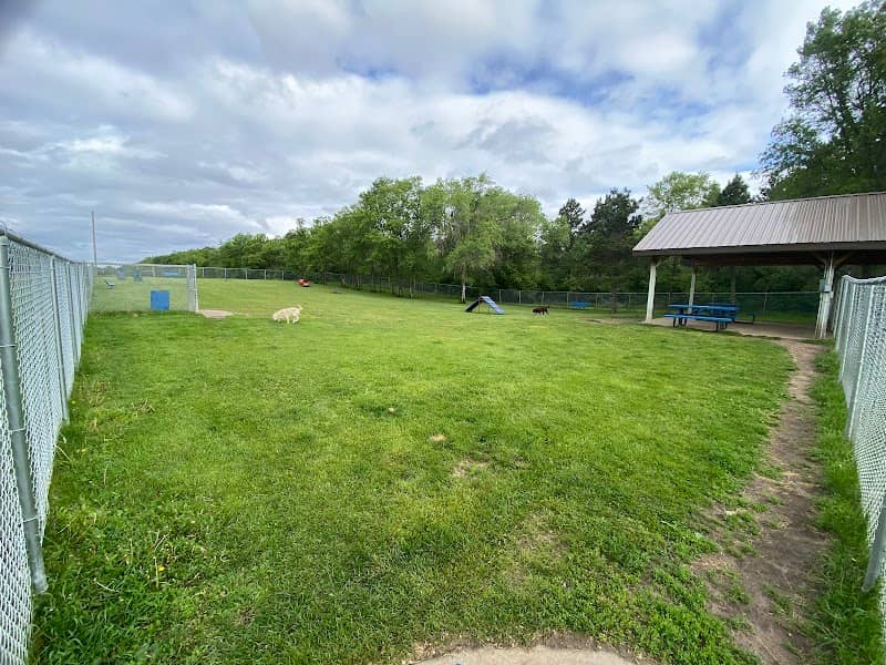 Dog Park - Image 1