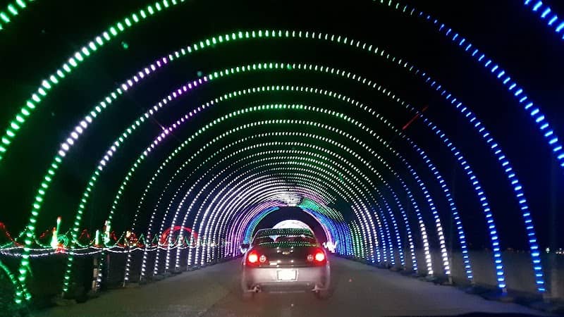 Nite Lites - Image 2
