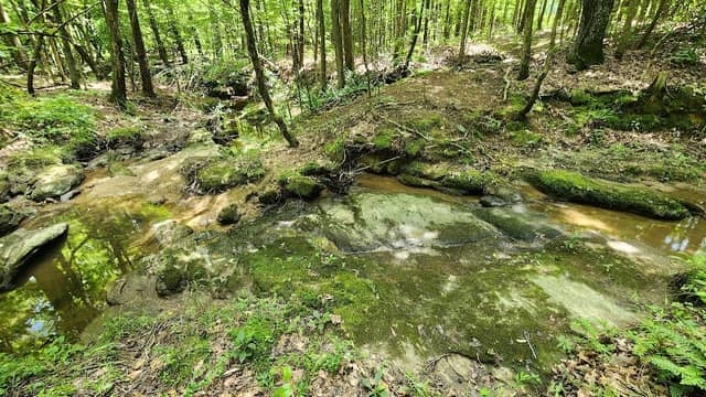 Beech Creek Park - Image 1