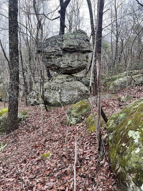 Walker Rocks at LaFayette Mural - Image 2