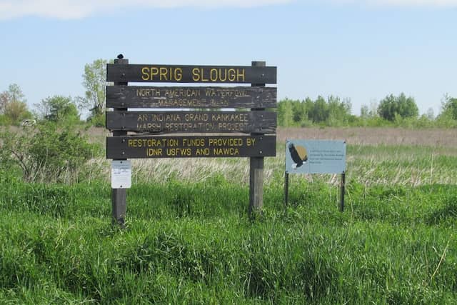Sprig Slough Wetland Conservation Area - Image 2