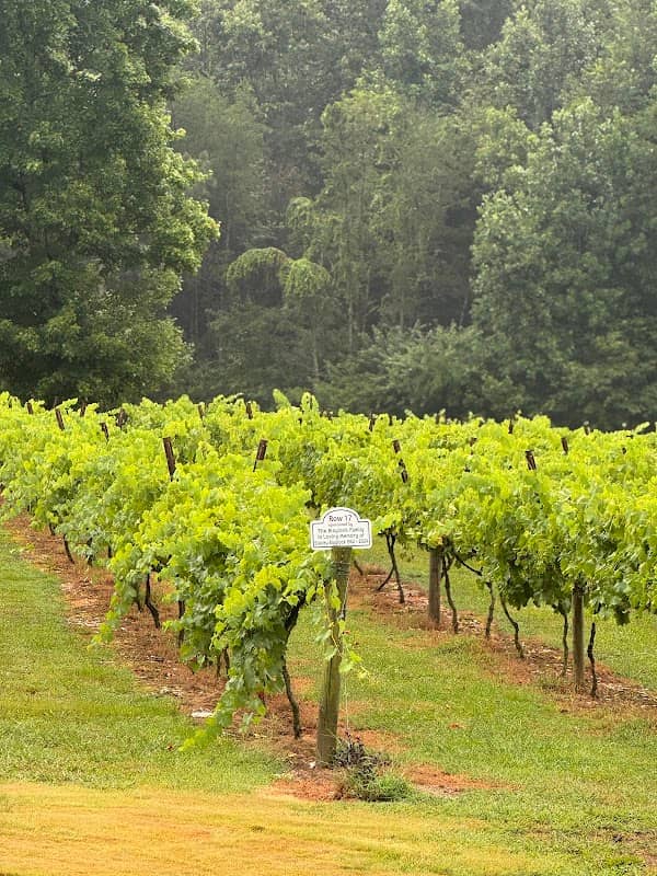 A Grape View Tours - Image 1