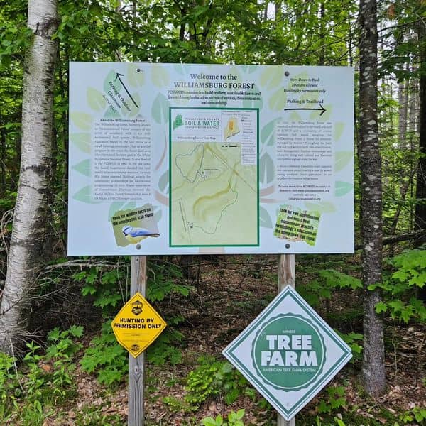 Piscataquis County Williamsburg Forest - Image 1