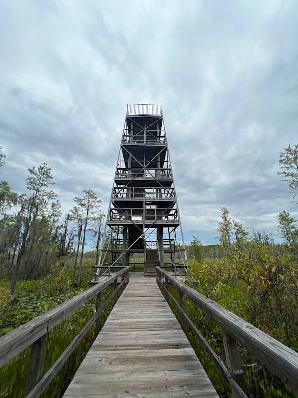 Grand Bay Wildlife Management Area - Image 1