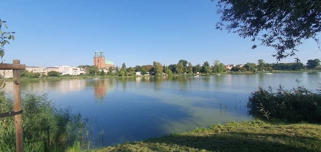 Park Piastowski - Image 2