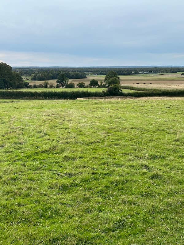 Calehill Park - Image 1