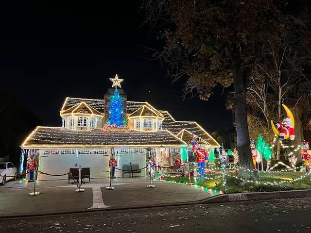 Thoroughbred Christmas Lights - Image 5