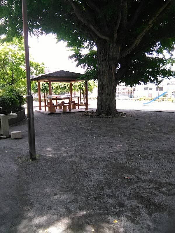 Icho Park - Image 2