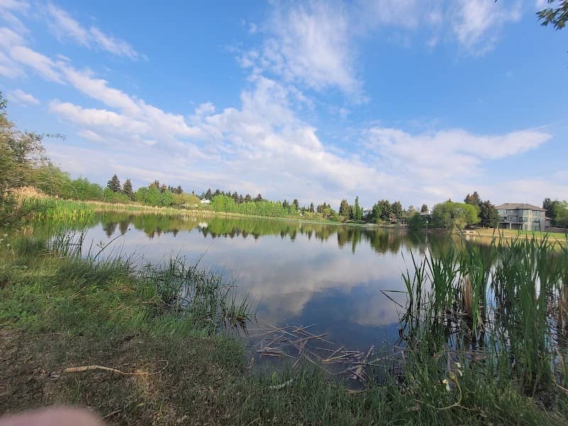 Messum Park - Image 2