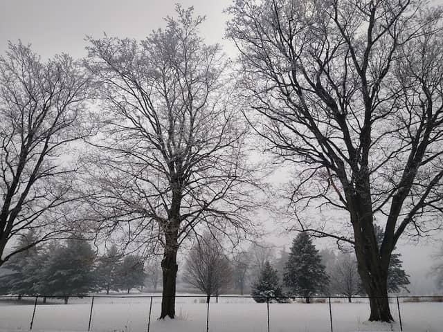 Ingersoll Memorial Park - Image 2