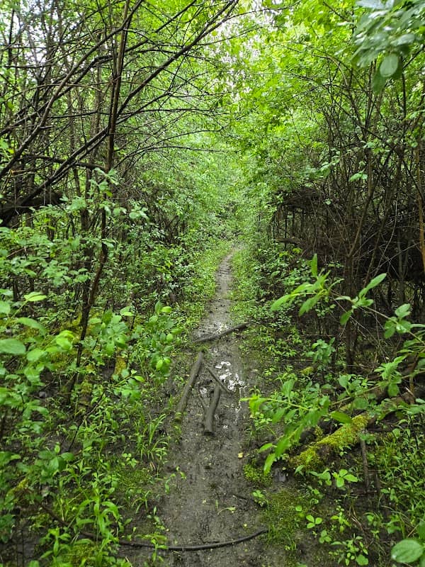 Abbey Road Trailhead - Image 1