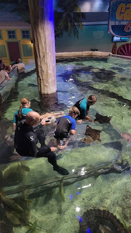 Layton Aquarium & Wildlife - Image 3