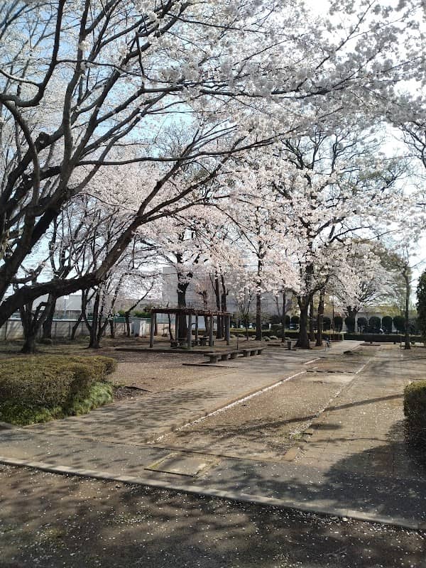 Shimoishibashi Jido Park - Image 1
