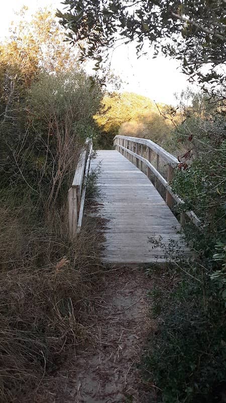 Ocean Isle Beach Nature Trail - Image 2