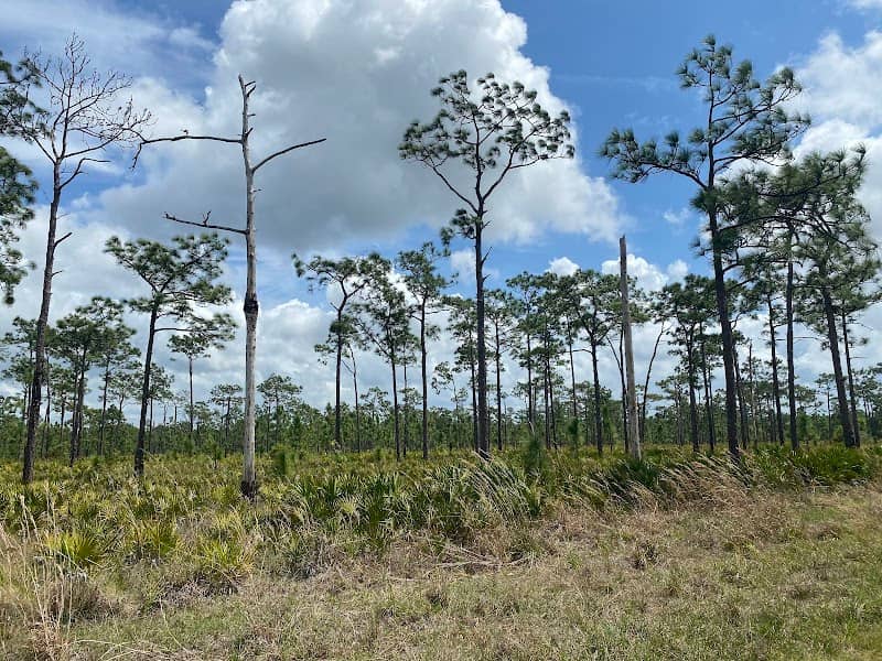 Deep Creek Preserve - Image 1