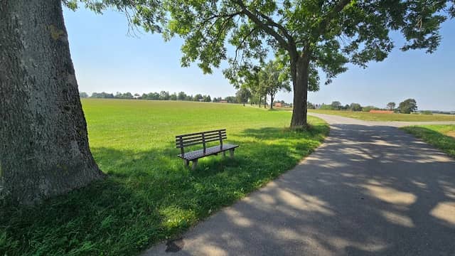 Aussichtspunkt mit Bank - Image 1