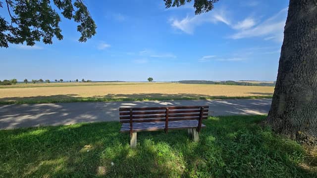 Aussichtspunkt mit Bank - Image 2