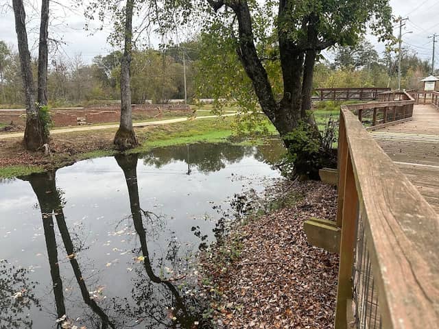 Blue Eye Creek Trail Pavilion - Image 2