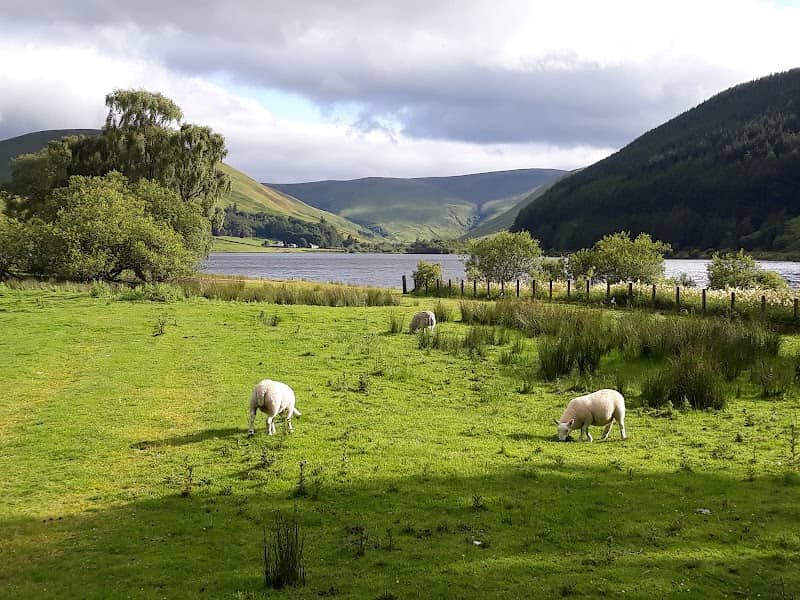 Saint Mary's Loch - Image 3