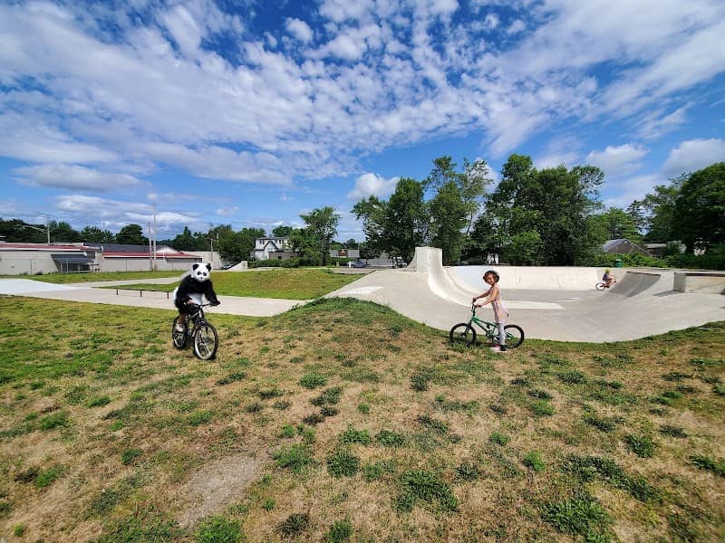 Williams Park - Image 1