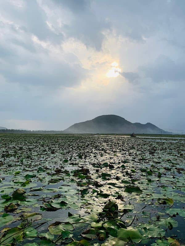 Kondakarla ava - Image 1