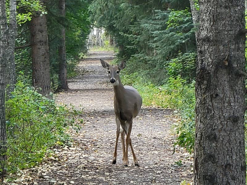Mary Reimer Park - Image 1