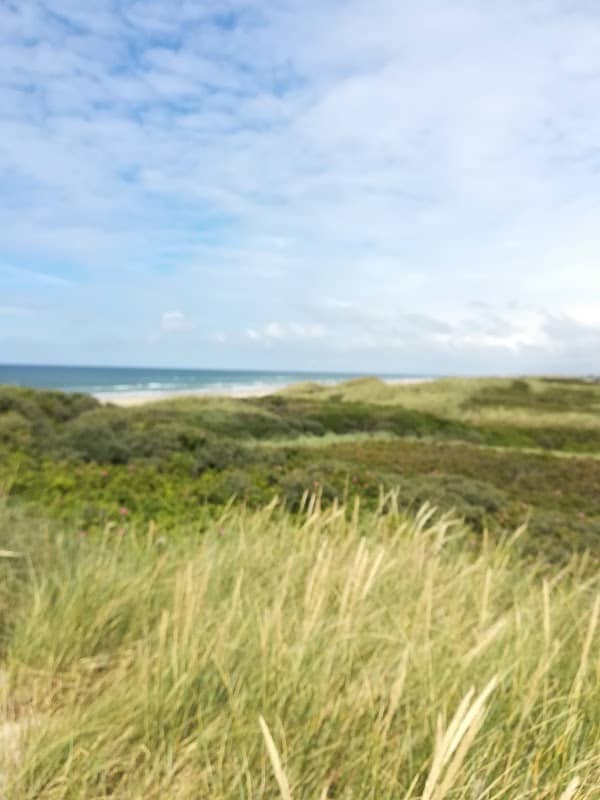 Saltum Strandpark - Image 2