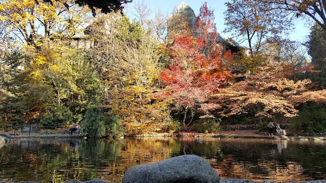 Lower duck pond - Image 1