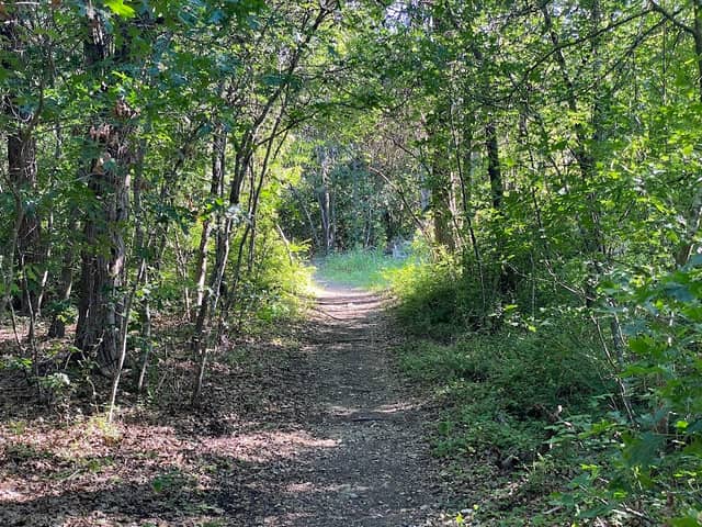 Windmill Hill - Dallas County Nature Preserve - Image 3