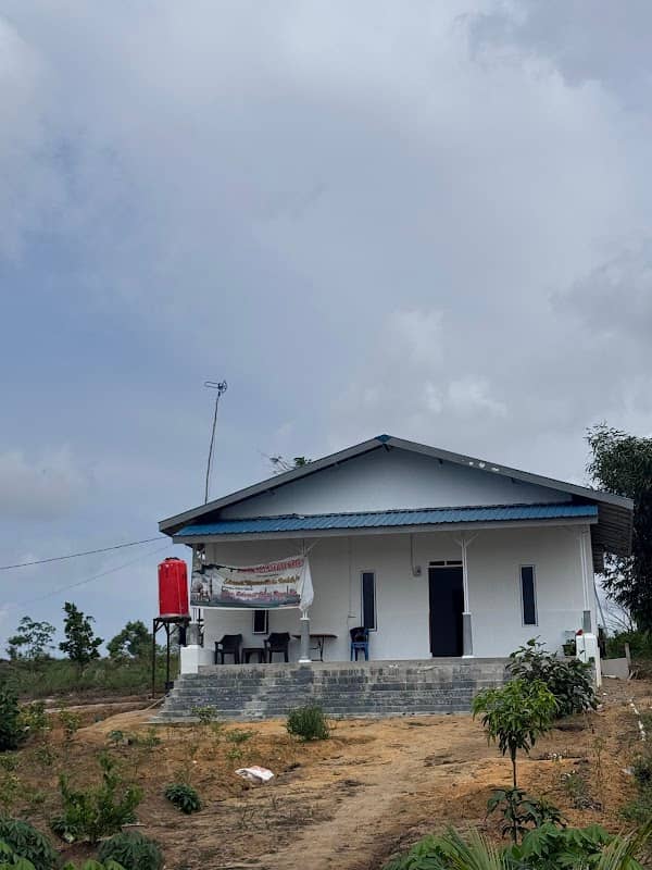 Kebun Kelapa Haloho - Image 1