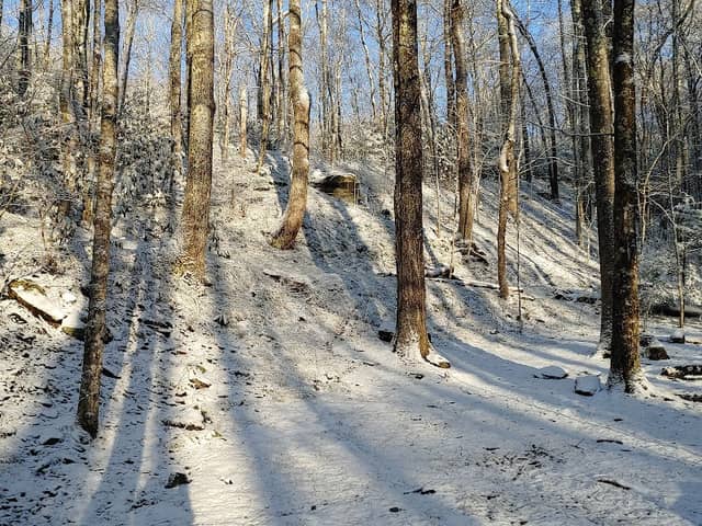 Backcountry Campsite #35 - Image 2