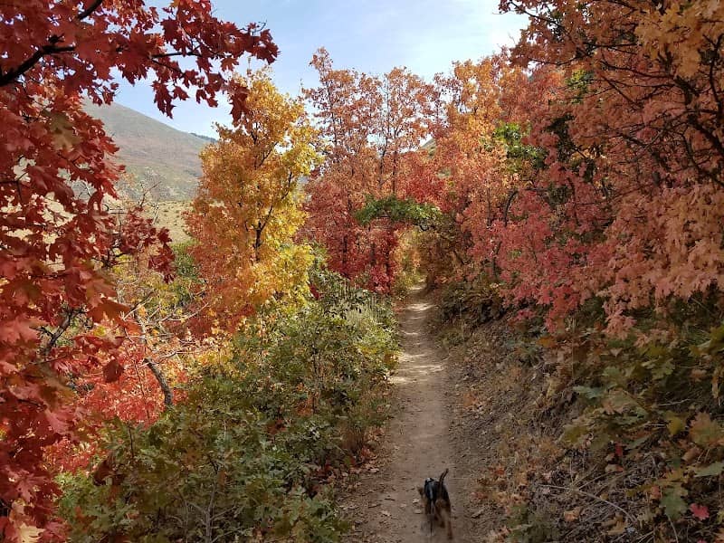 Lookout Point - Image 2