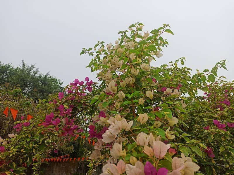 Aasma Park - Image 1