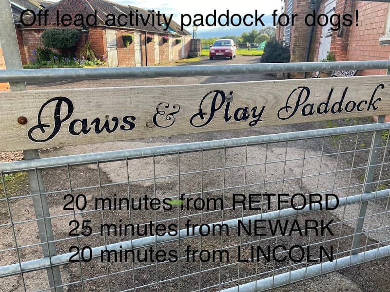 Paws & Play Paddock Dunham - Image 1