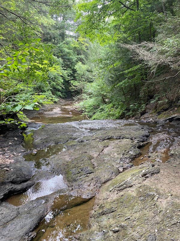 Swatling Falls Nature Trails - Image 2