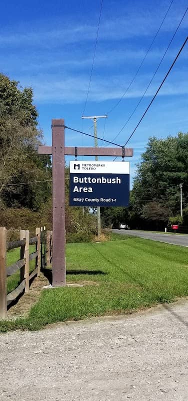 Buttonbush Area - Image 2