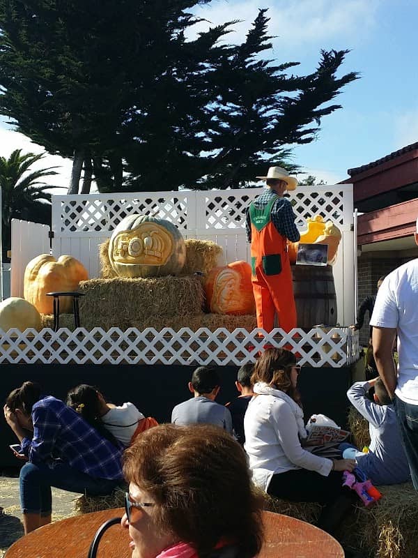 Fernandez Park - Image 2