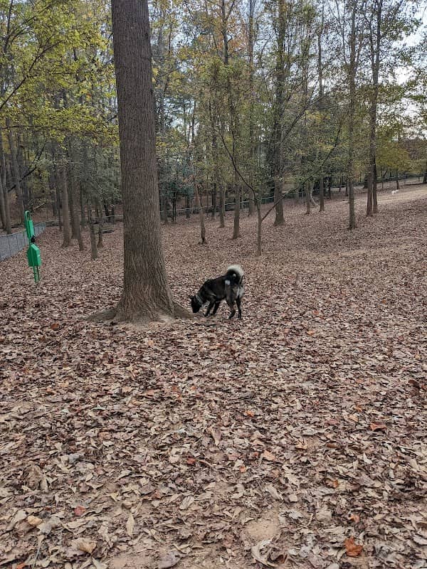 Wildwood Park - Image 2