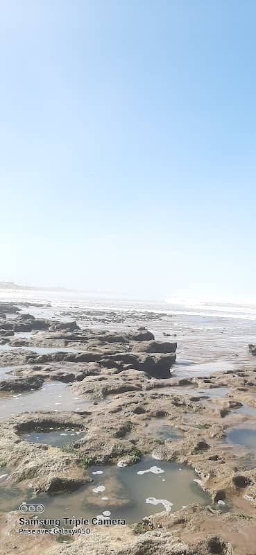 Paloma Beach - Image 1