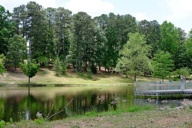 Deer Lick Park - Image 1