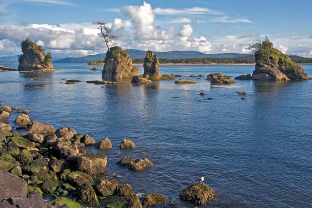The Three Graces - Image 1