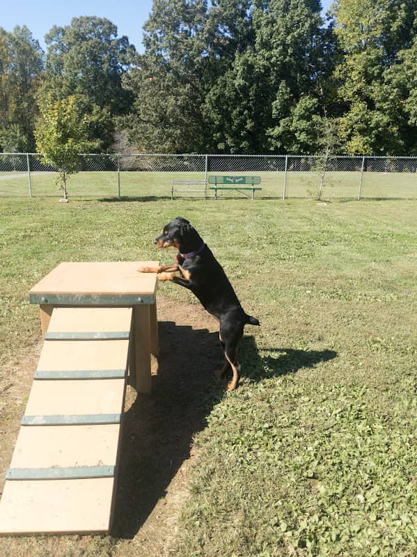 Albemarle Parks & Recreation Dog Park - Image 1