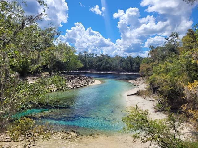 Little River Springs - Image 1