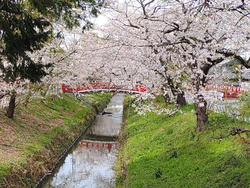 Takinomiya Park - Image 1
