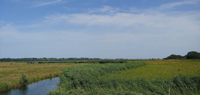 Hejlsminde Natursti - P2 - Image 1