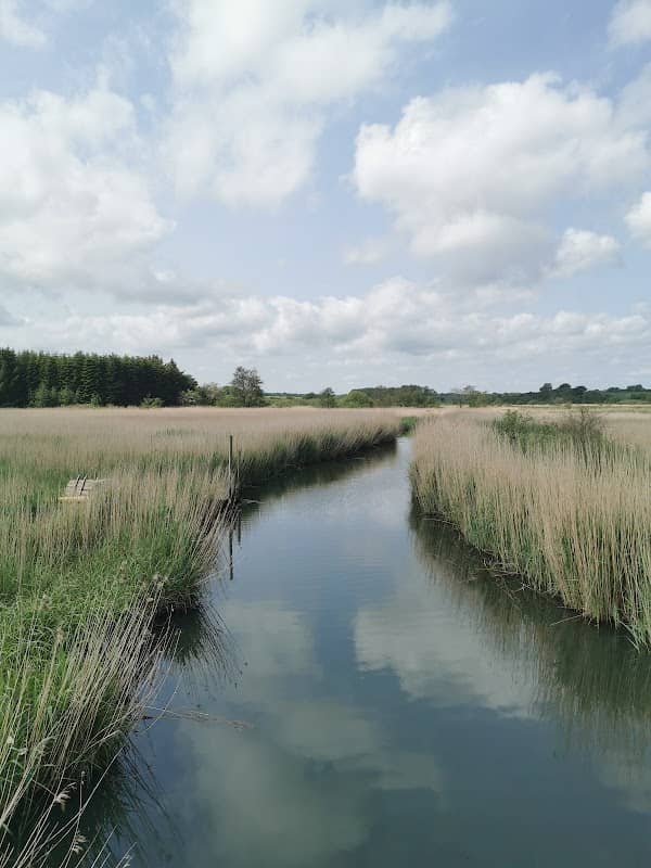 Hejlsminde Natursti - P2 - Image 2